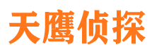 团城山市侦探调查公司